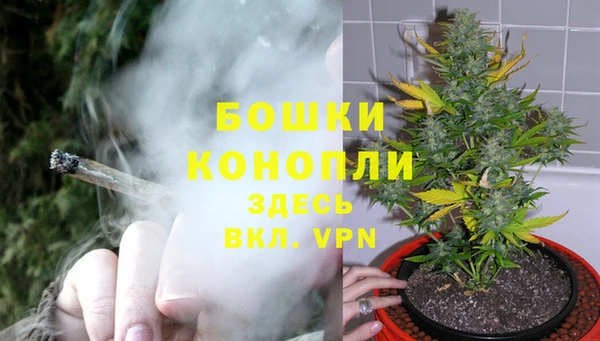 не бодяженный Няндома