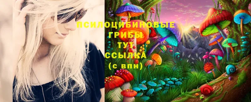 Псилоцибиновые грибы Psilocybine cubensis  где найти наркотики  Мегион 