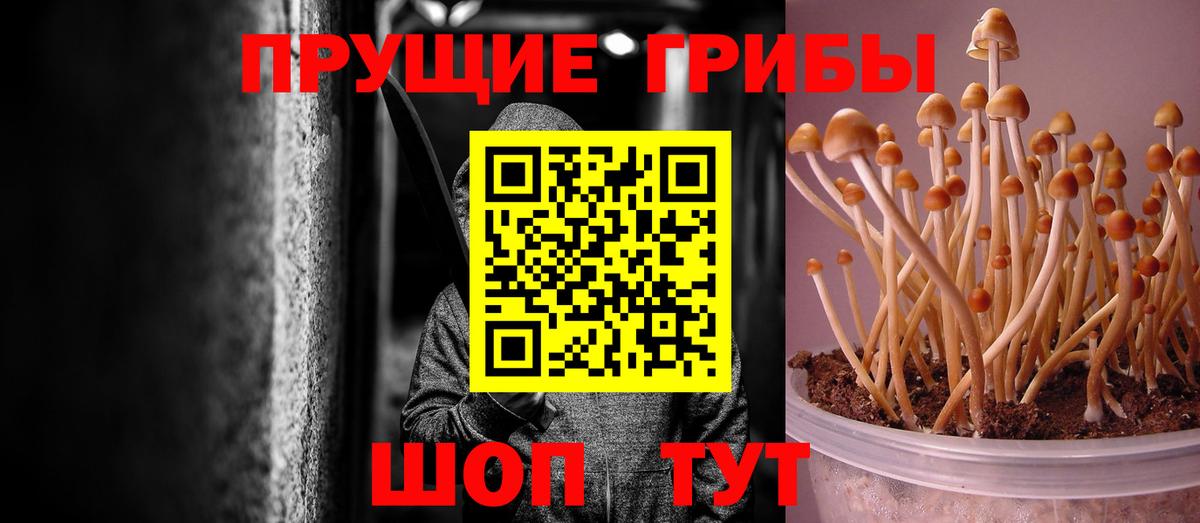 купить  сайты  Псилоцибиновые грибы ЛСД  Вход с VPN  Мегион 