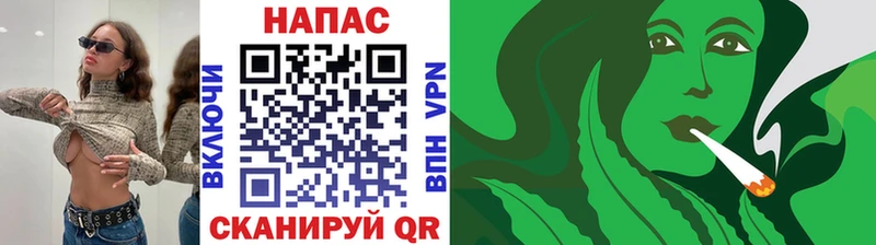 даркнет сайт Мегион Каннабис сатива